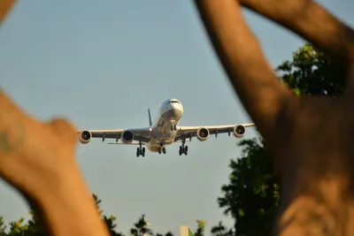 DSC_5747 (Large).JPG